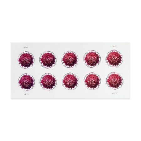 Chrysanthemum Global Stamps