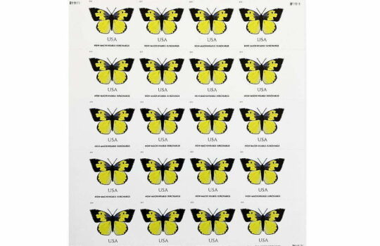 California Dogface Butterfly USPS Forever Stamps
