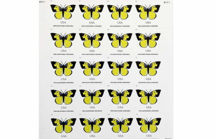 California Dogface Butterfly USPS Forever Stamps