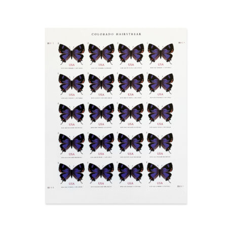Colorado Hairstreak Sheets of 20 USPS Forever Stamps