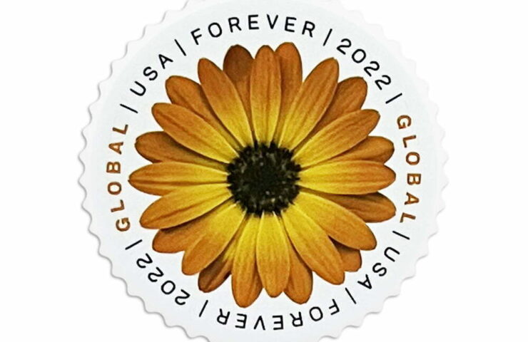African Daisy Global forever Stamps