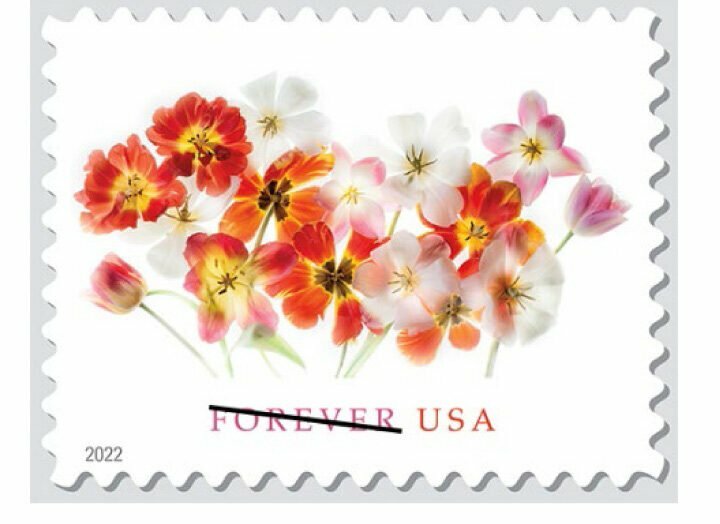 2022 Tulip First-Class Forever Stamp