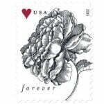 Engraved Vintage Rose Forever Stamp