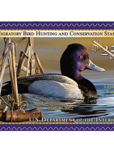 migratory bird stamp