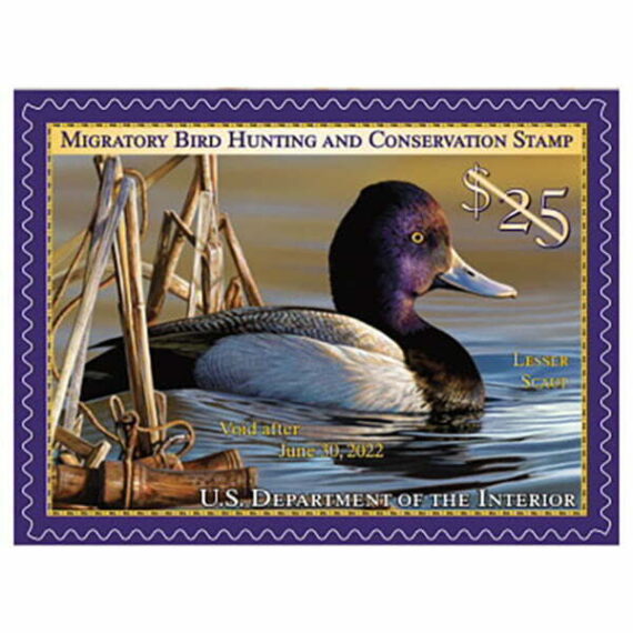 Migratory Bird Stamp 2021-2022