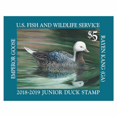 Jr Duck Emperor Goose Stamp 2018-2019