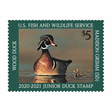 Jr Duck Wood Duck Stamp 2020-2021