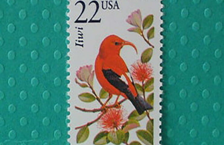 forever stamps cheap
