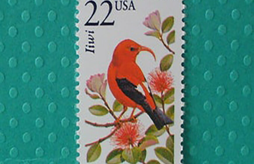 Cheap Forever Stamp How To Buy Cheap Forever Stamp In 2023 Forever