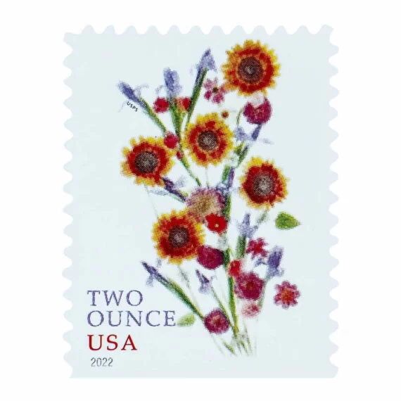 Cost Of Extra Ounce Stamp 2024 Zoe Elbertine