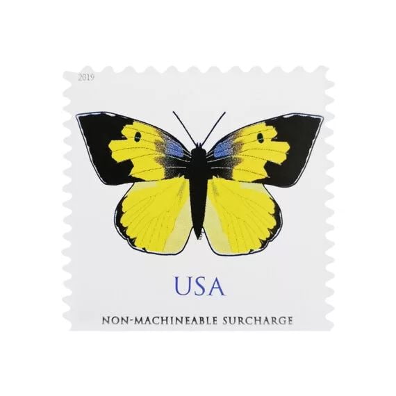 California Dogface Butterfly Stamp (99￠ Non-Machineable For Square Envelopes)