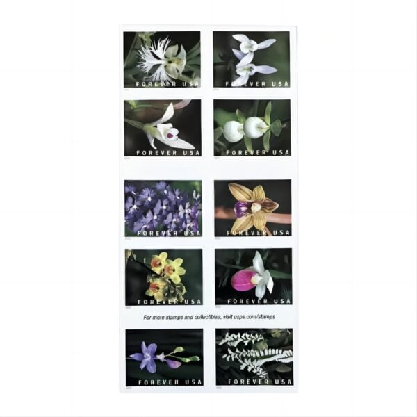 Wild Orchids Stamps – 2020 USPS Forever Stamps