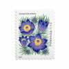 Mountain Flora Stamps