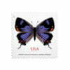 Colorado Hairstreak Stamps(Non-Machineable for Square Envelopes)