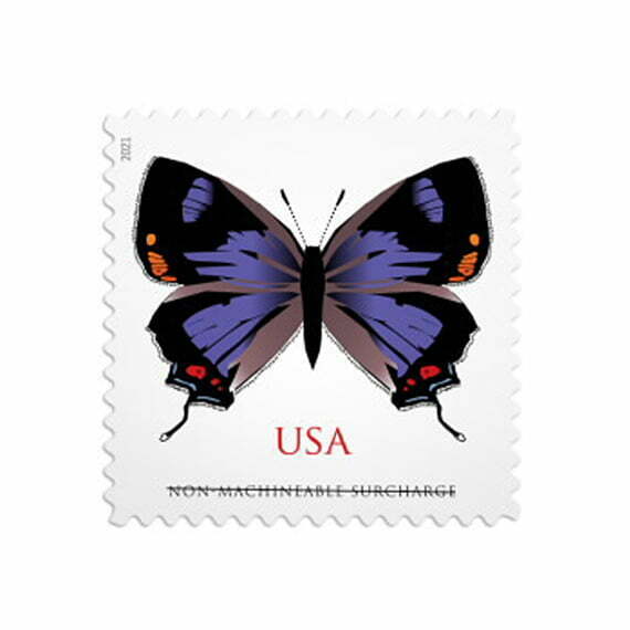 Colorado Hairstreak Stamps