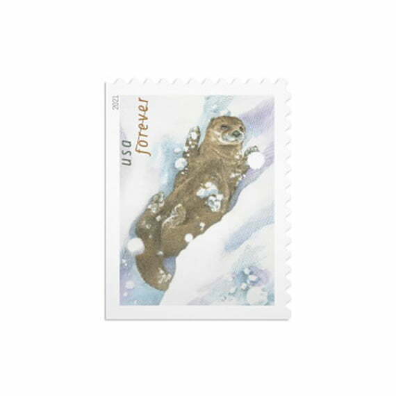 Otters in Snow Stamps – 2021 USPS Forever Stamps