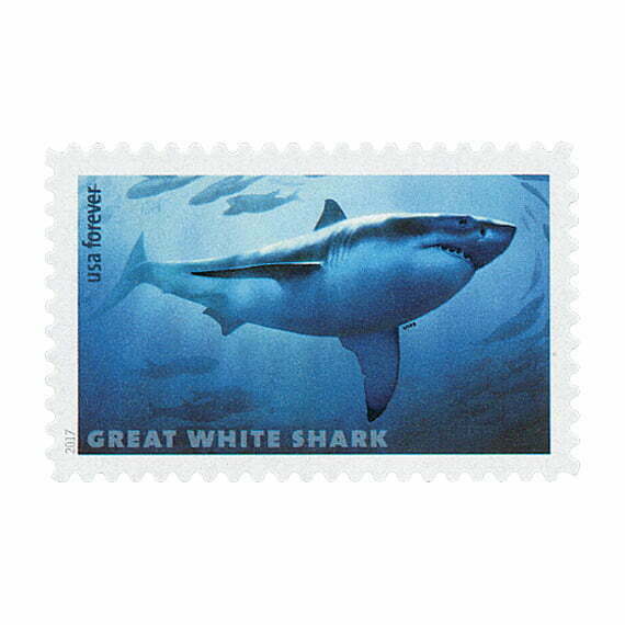 Sharks Stamps - Forever Stamp Store