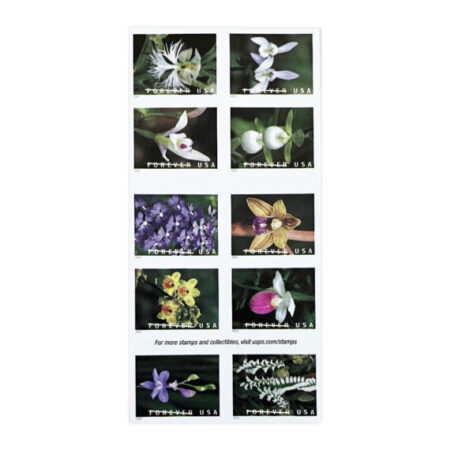 Wild Orchids Stamps