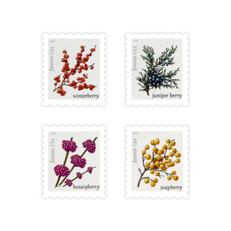 Winter Berries Stamps