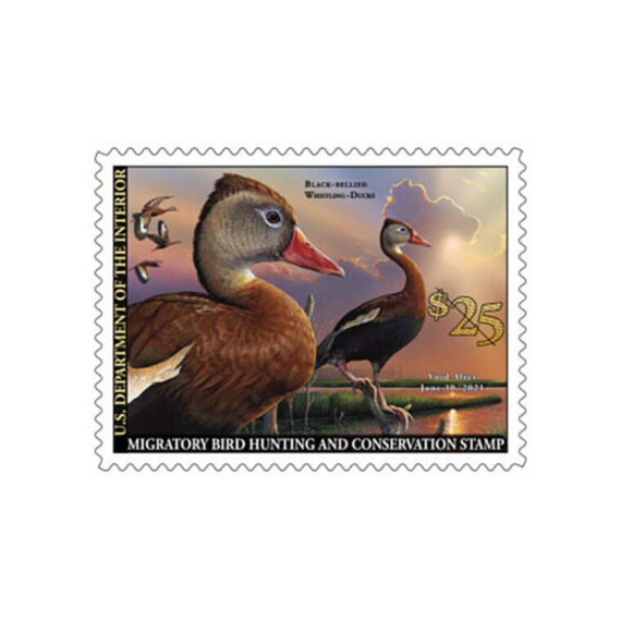 Black Bellied Whistling Ducks Stamp 2020-2021