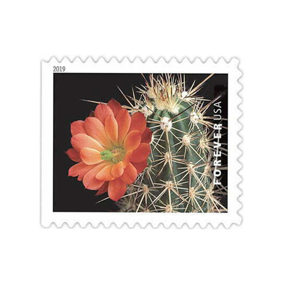 Cactus Flowers Stamps
