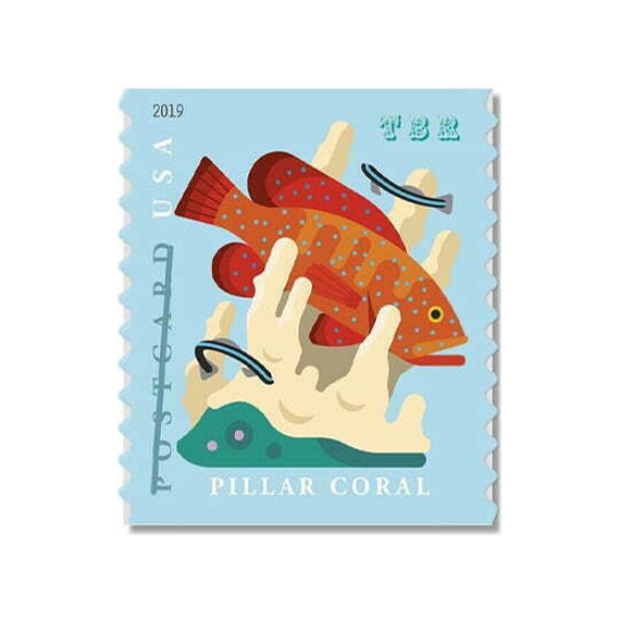 Coral Reefs Stamps (Postcard Stamp) - Forever Stamp Store