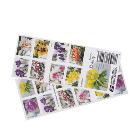 Snowy Beauty Stamps