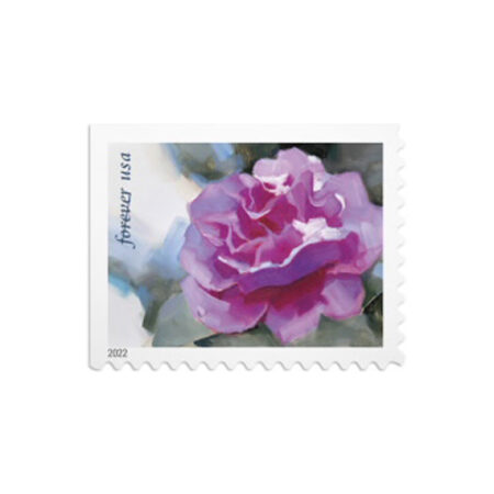 Snowy Beauty Stamps