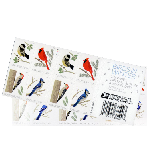 2018 Birds in Winter Cardinal