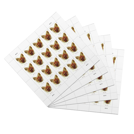 Red Fox Stamps