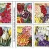 Botanical Art Stamp