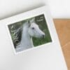 USPS Horses Stamps
