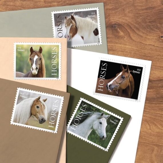 USPS Horses Stamps