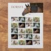 USPS Horses Stamps