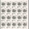 Vintage Tulip Stamp