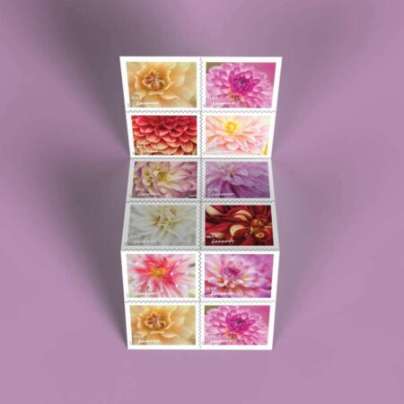 flower dahlias stamps discount
