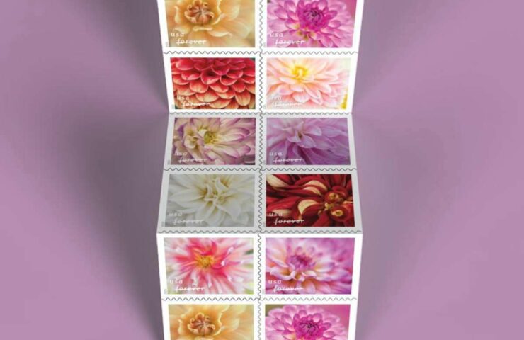 flower dahlias stamps discount
