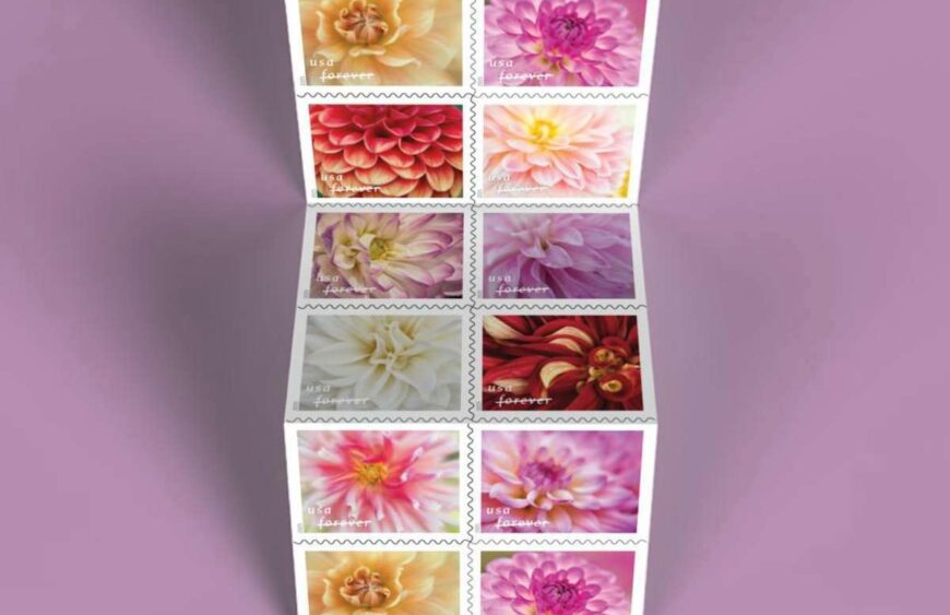flower dahlias stamps discount