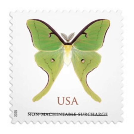 Non-machinable: Luna Moth Stamps