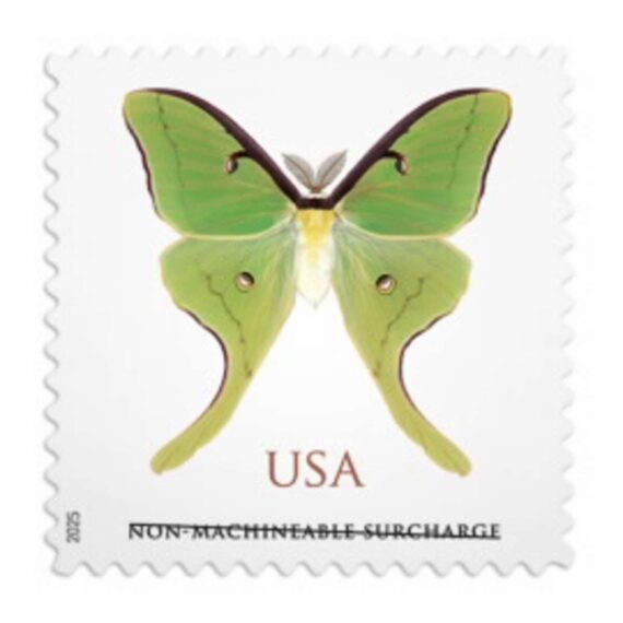 Non-machinable: Luna Moth Stamps