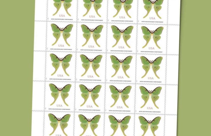 discount non machineable luna moth stamps