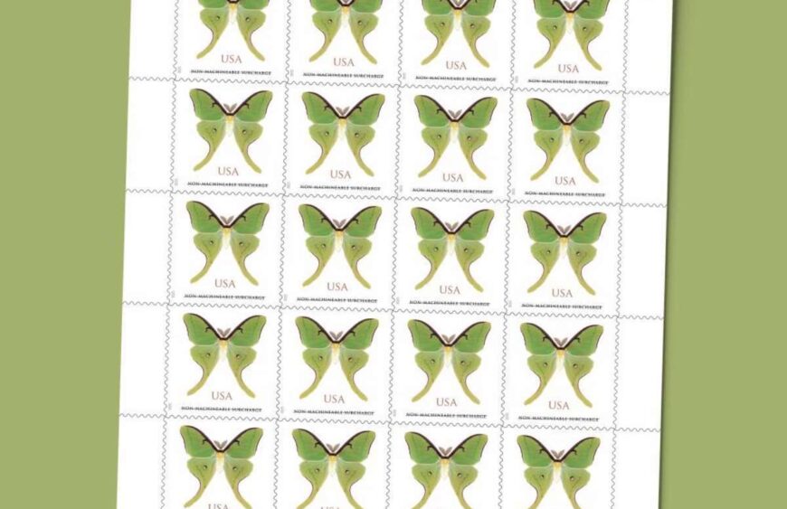 discount non machineable luna moth stamps