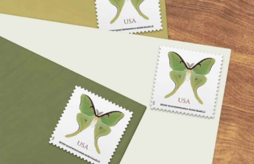 discount non machineable luna moth stamps