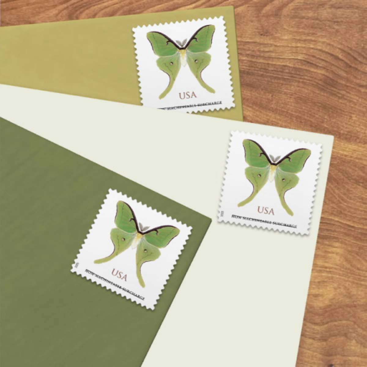 E-commerce shipping manager organizing postal mailings with bulk Forever stamps
