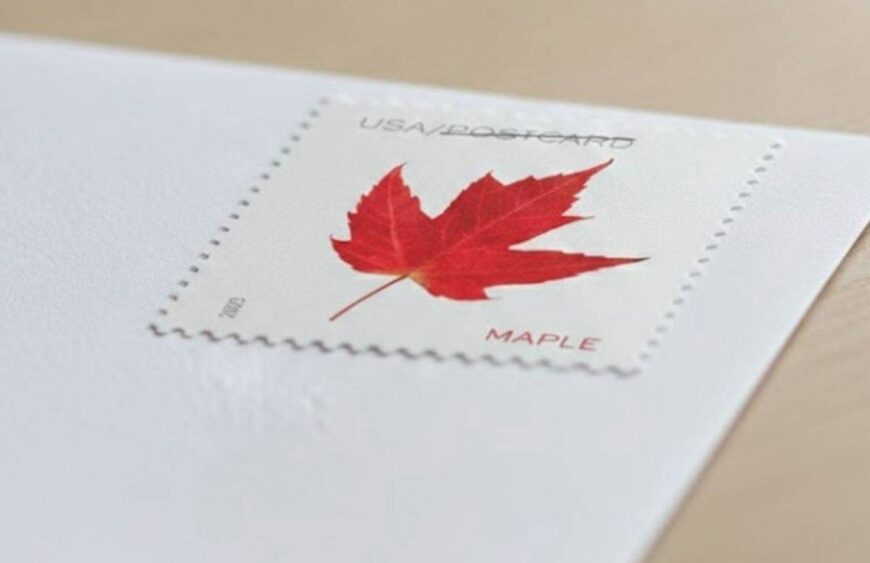 discount vibrant leaves postcard stamps