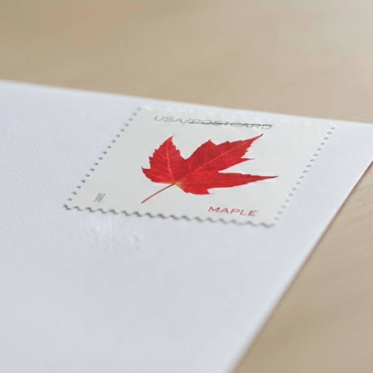 Buy discount Scott catalog numbers in bulk online for business mailing needs.