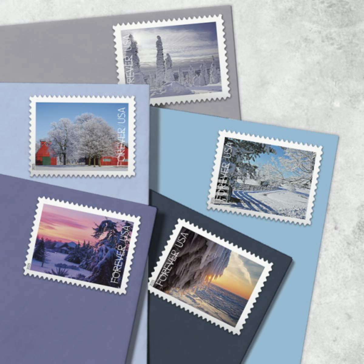 Philatelist organizing holiday mail covers and vintage Christmas cards into archival sleeves