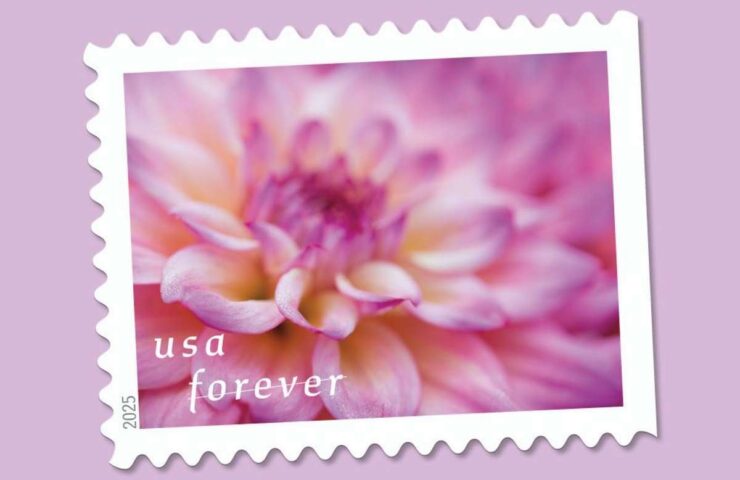 flower dahlias stamps discount