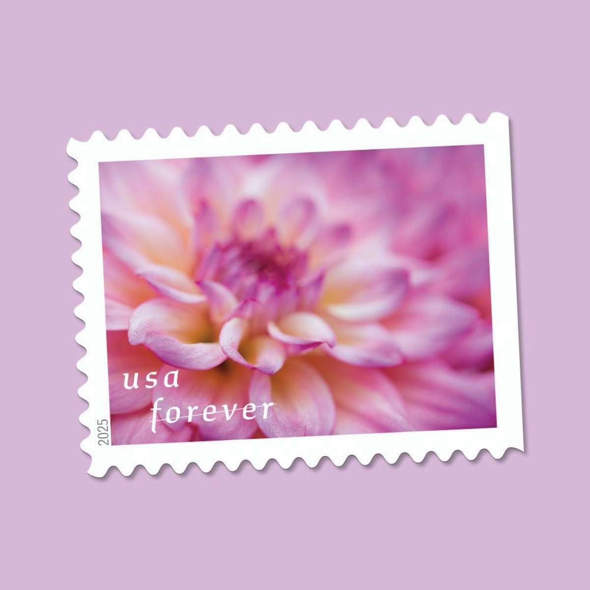USPS Forever buy wholesale stamps sheets for professional office shipping and logistics.