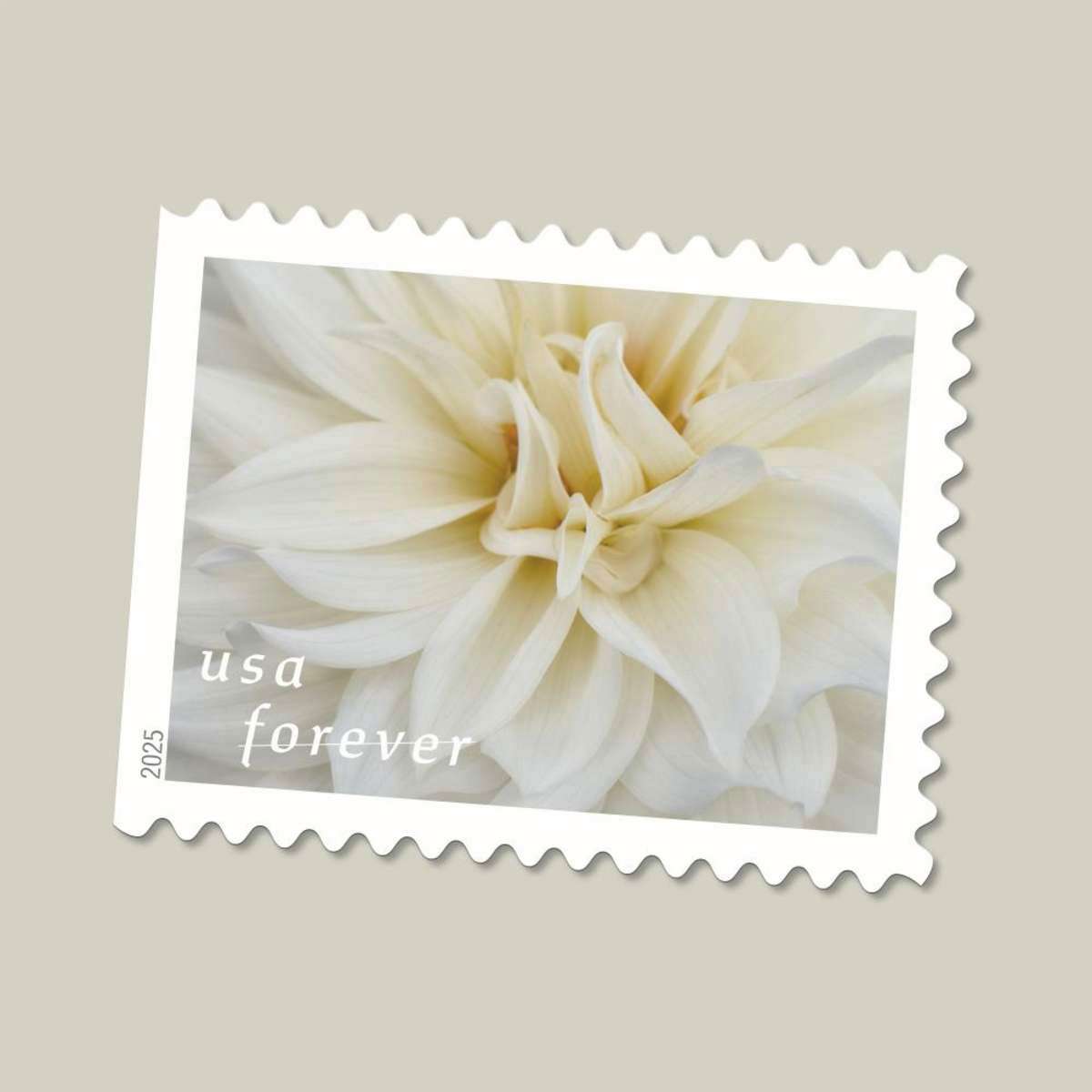 Buy discount Fort Sumter commemorative stamp in bulk online for business mailing needs.
